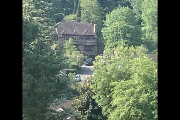 House sit in Reading, United Kingdom