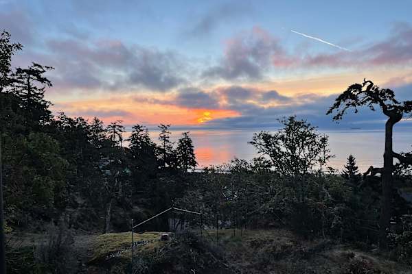 House sit in Victoria, BC, Canada