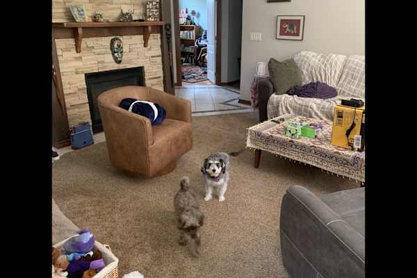 House sit in Spokane, WA, US