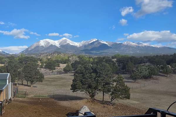 House sit in Poncha Springs, CO, US