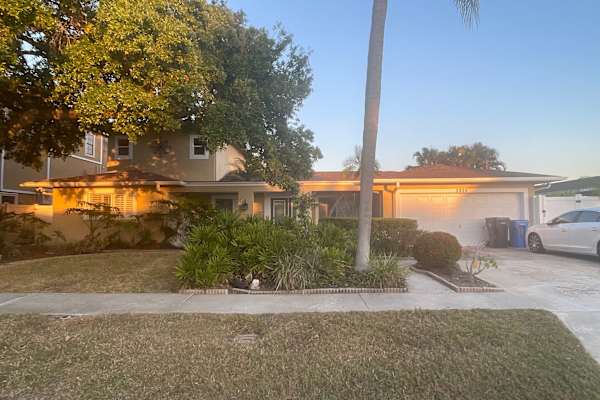 House sit in Tampa, FL, US
