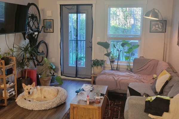 House sit in Nanaimo, BC, Canada