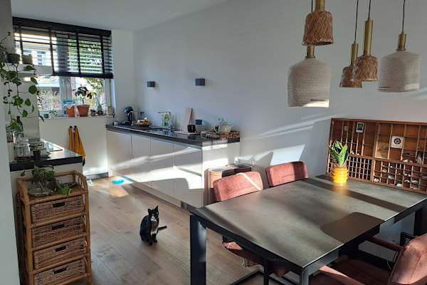 House sit in Nijmegen, Netherlands