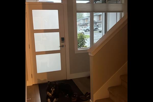 House sit in Cumberland, BC, Canada