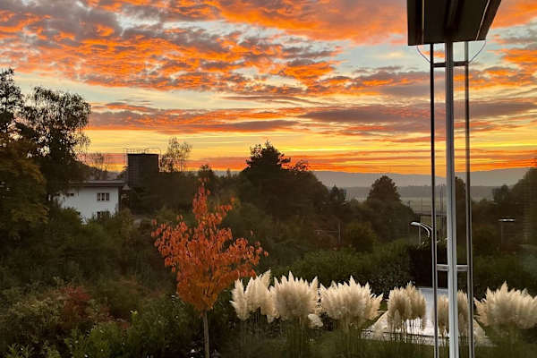 House sit in Schaffhausen, Switzerland