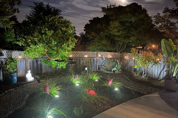 House sit in Santa Cruz, CA, US