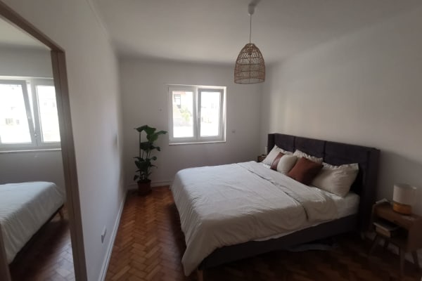 House sit in Lisbon, Portugal