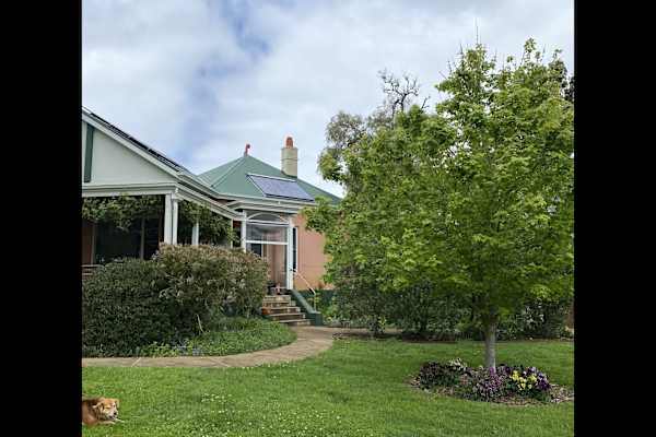 House sit in Koroit, VIC, Australia