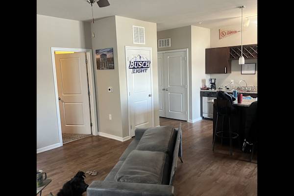 House sit in Longmont, CO, US