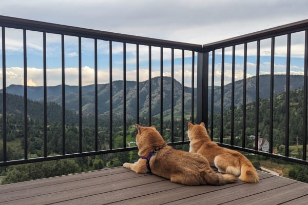 House sit in Golden, CO, US