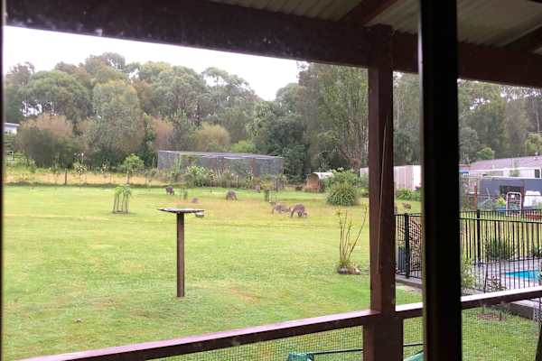 House sit in Bawley Point, NSW, Australia