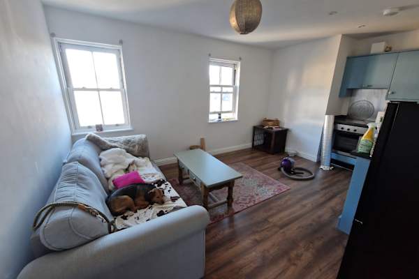 House sit in Shepton Mallet, United Kingdom
