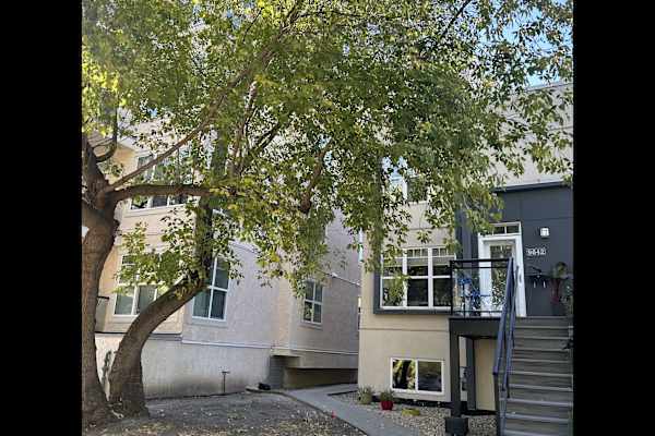 House sit in Edmonton, AB, Canada