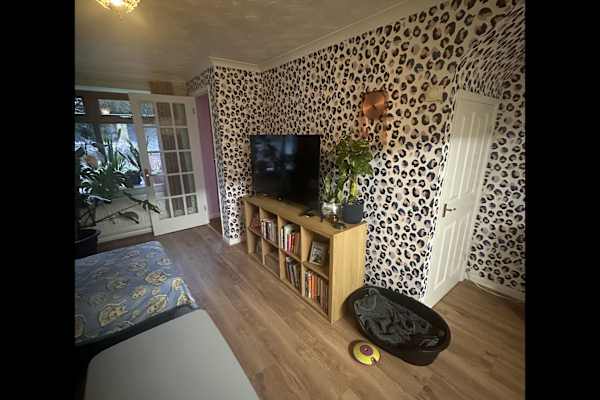 House sit in Weston-super-Mare, United Kingdom