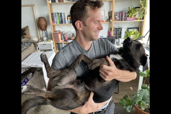 House sit in Austin, TX, US