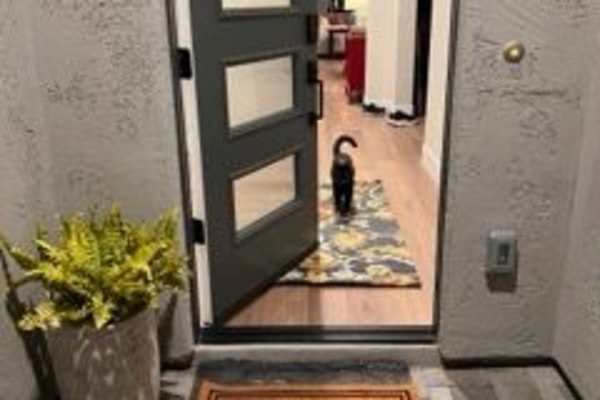 House sit in Oracle, AZ, US