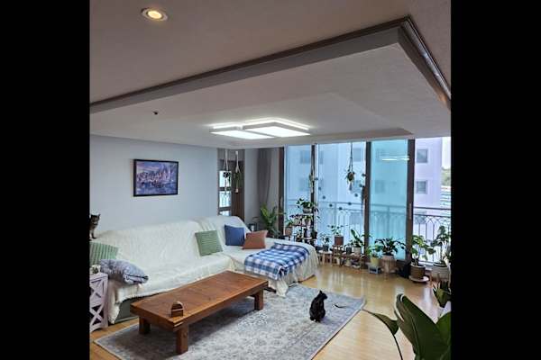 House sit in Kohyŏn, South Korea