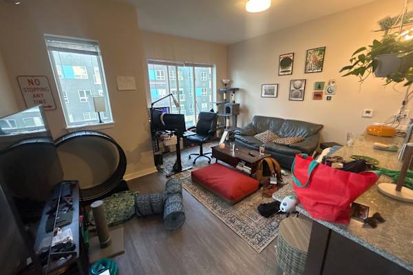 House sit in Syracuse, NY, US