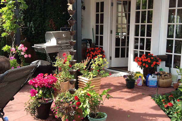 House sit in Tacoma, WA, US