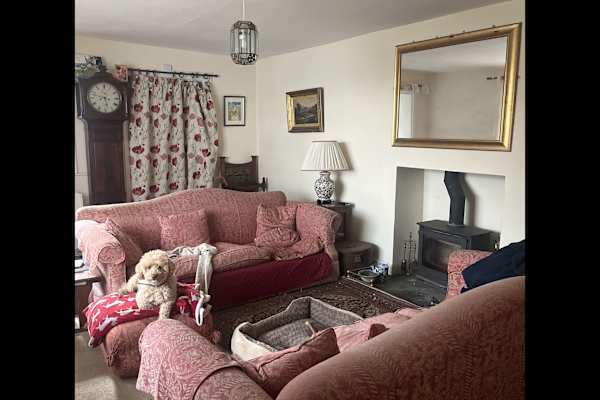 House sit in Bideford, United Kingdom