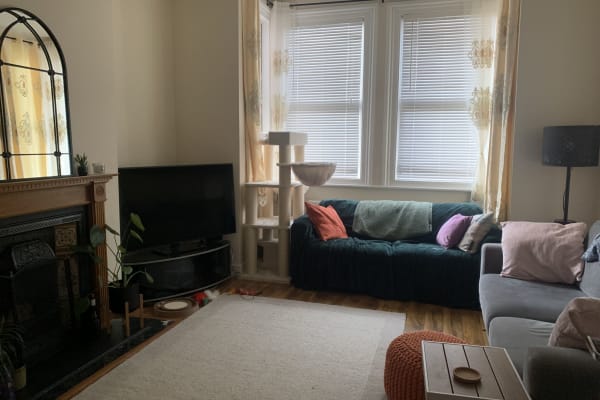 House sit in Acton, United Kingdom