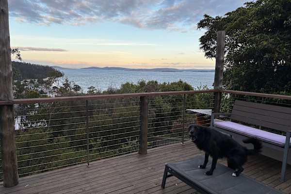 House sit in Hobart, TAS, Australia