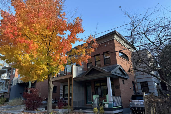 House sit in Ottawa, ON, Canada