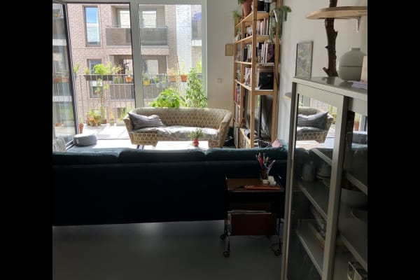 House sit in Hamburg, Germany