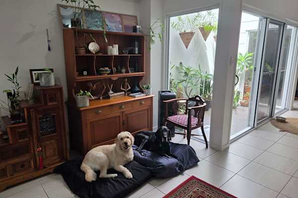 House sit in Caloundra, QLD, Australia