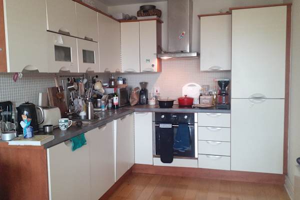 House sit in Drumcondra, Ireland