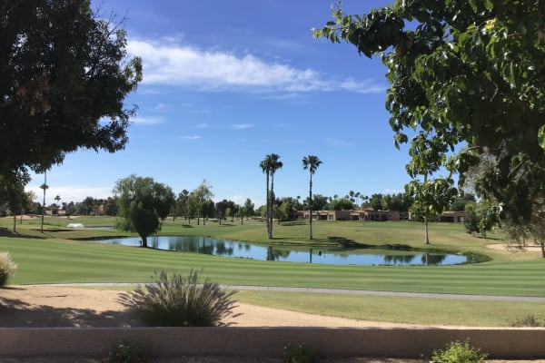 House sit in Peoria, AZ, US