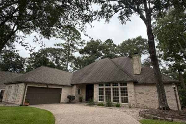 House sit in Conroe, TX, US