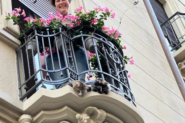 House sit in Turin, Italy