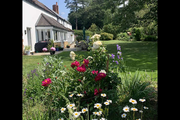 House sit in Willoughton, United Kingdom