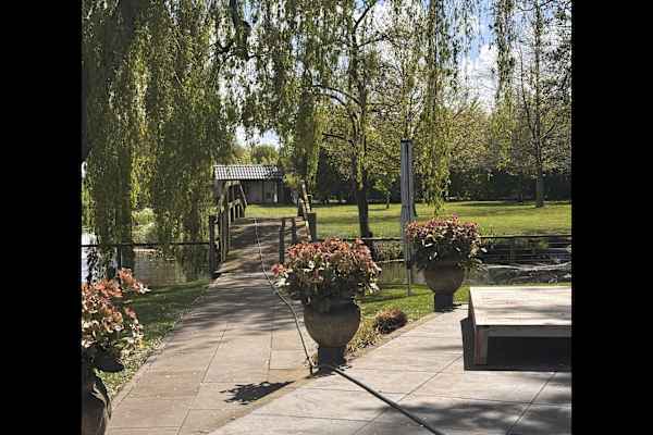 House sit in Waarder, Netherlands