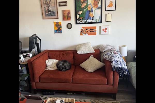 House sit in Los Angeles, CA, US