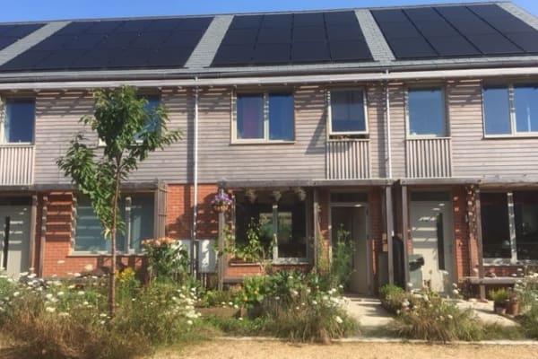 House sit in Bridport, United Kingdom