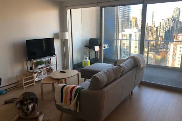 House sit in Vancouver, BC, Canada