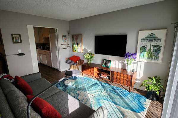 House sit in San Diego, CA, US