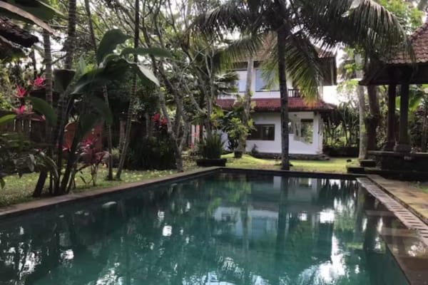 House sit in Ubud, Indonesia