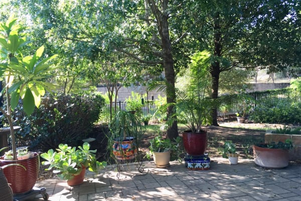 House sit in San Antonio, TX, US