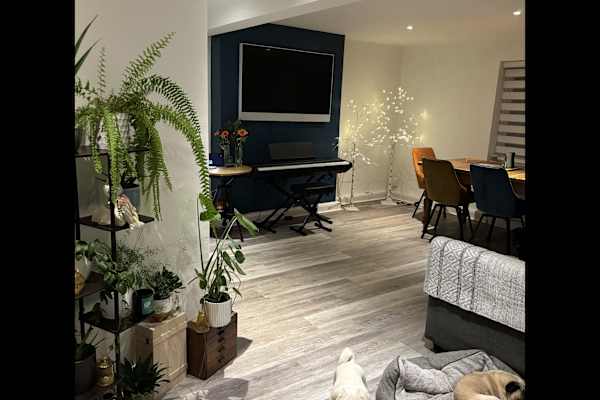 House sit in Redhill, United Kingdom