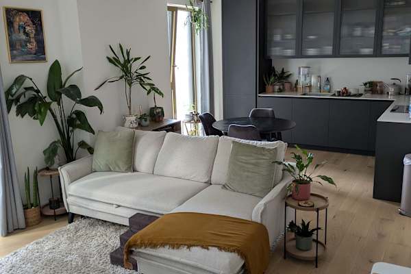 House sit in London, United Kingdom