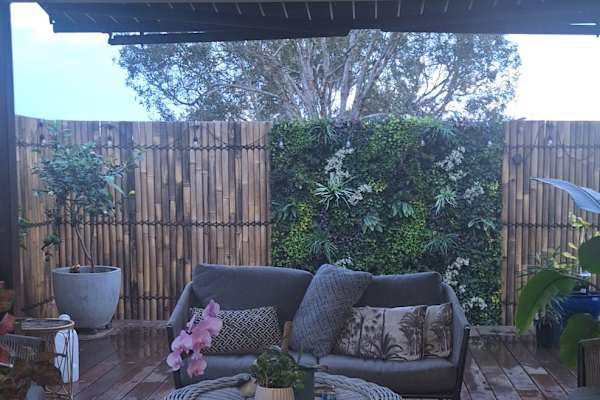 House sit in Caloundra, QLD, Australia
