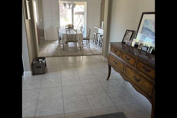 House sit in Reno, NV, US