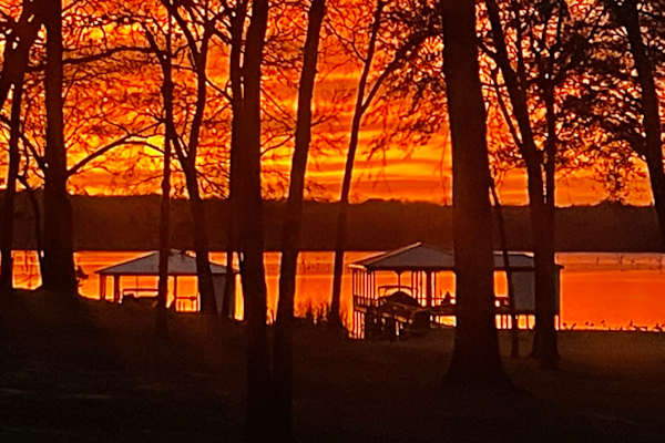 House sit in Emory, TX, US