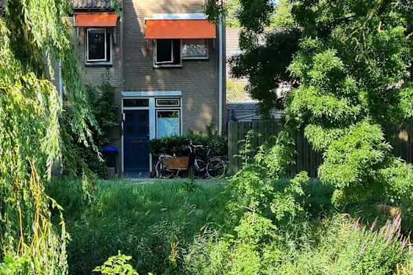 House sit in The Hague, Netherlands