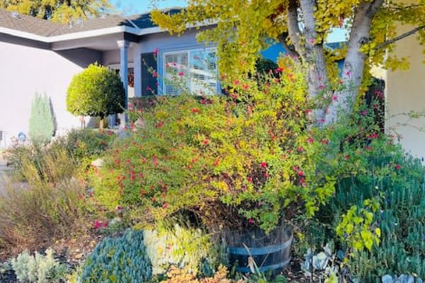 House sit in Napa, CA, US