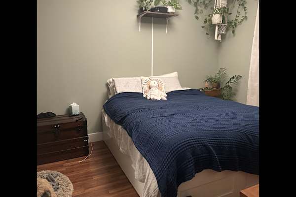 House sit in Brooklyn, NY, US