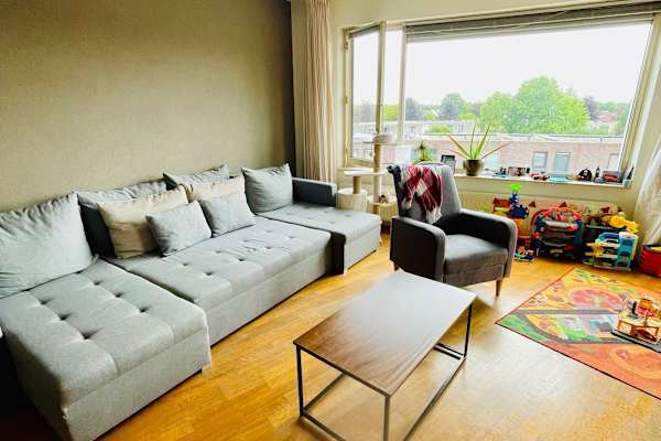 House sit in Amersfoort, Netherlands